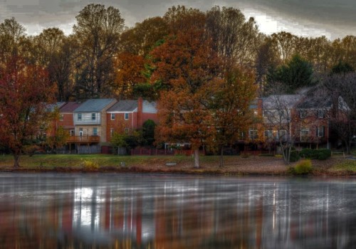 The Importance of Community Programs in Fairfax County, VA