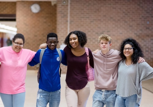 The Impact of Community Programs on Mental Health and Wellness in Fairfax County, VA